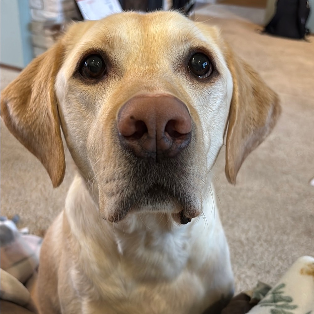 Unlisted Amazing Items